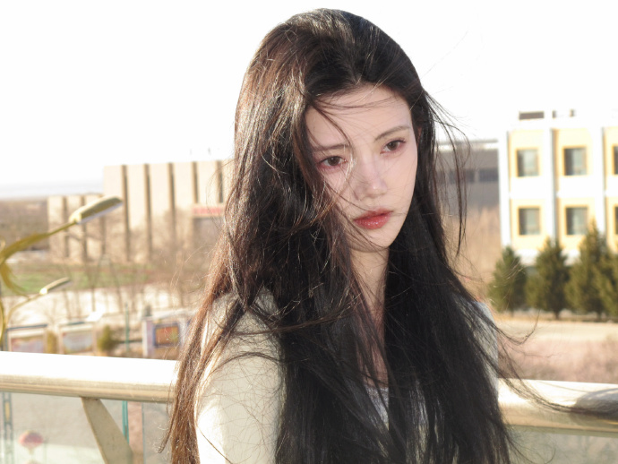 蜘蛛池访问日志的深度分析