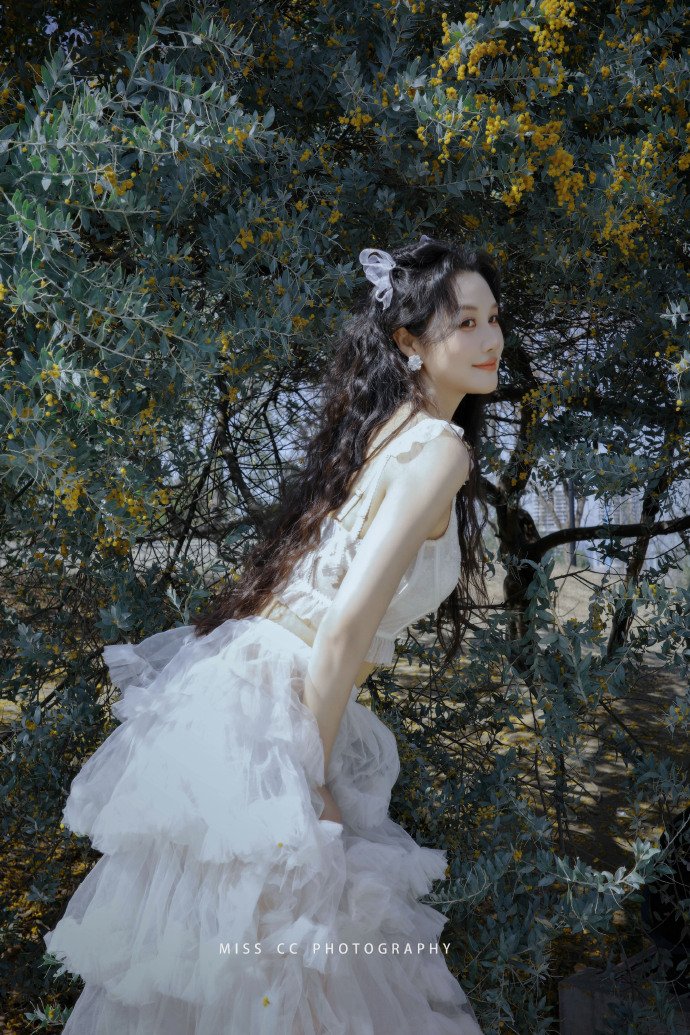 蜘蛛池访问日志的深度分析