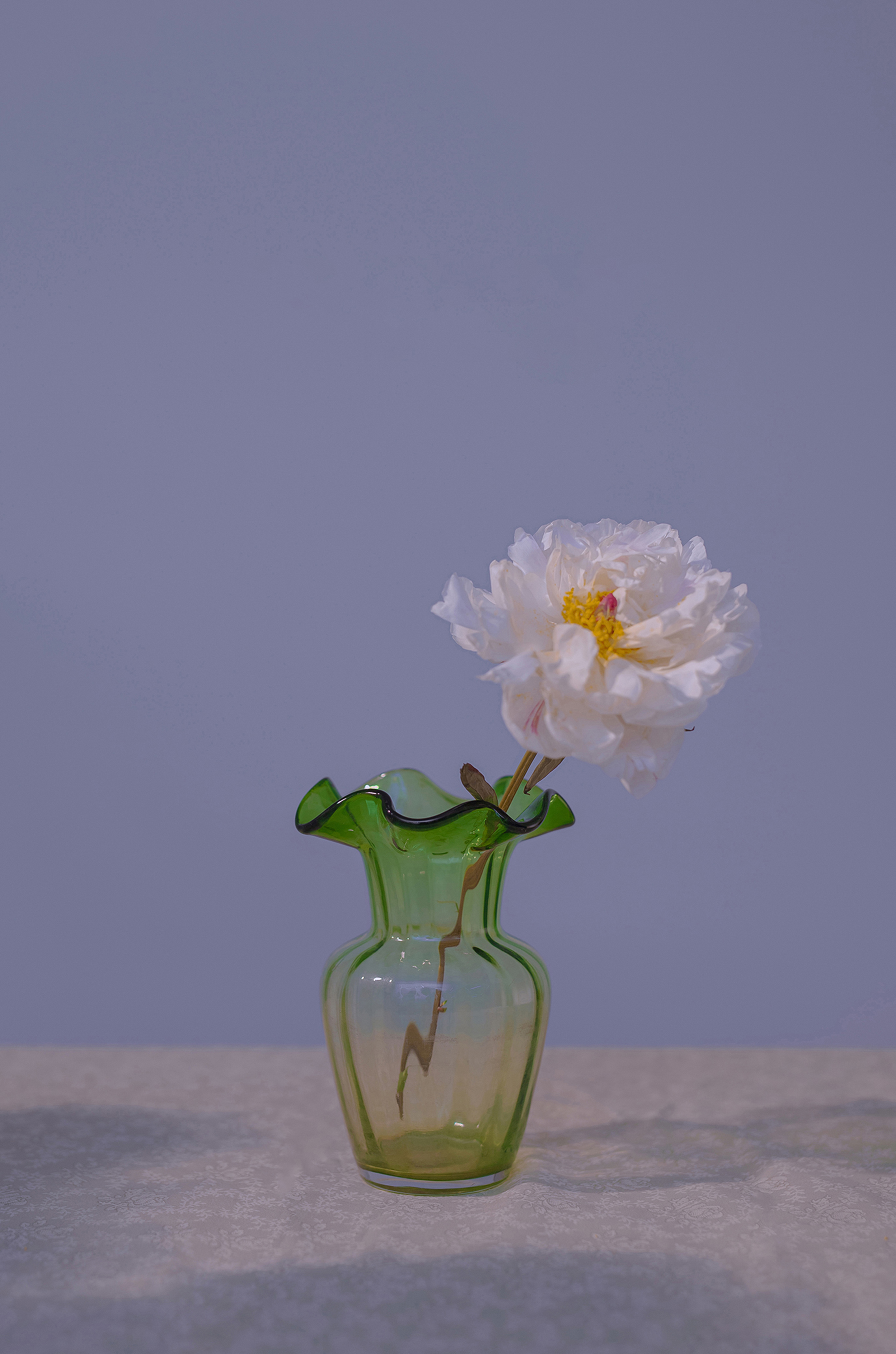 蜘蛛池访问日志如何进行安全审计