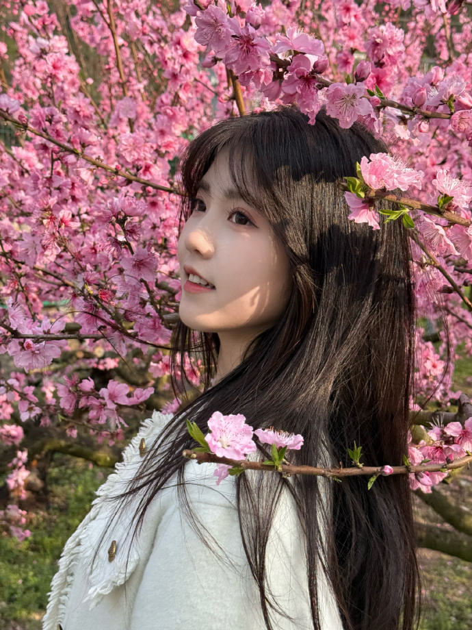 快速构建蜘蛛池的五个步骤