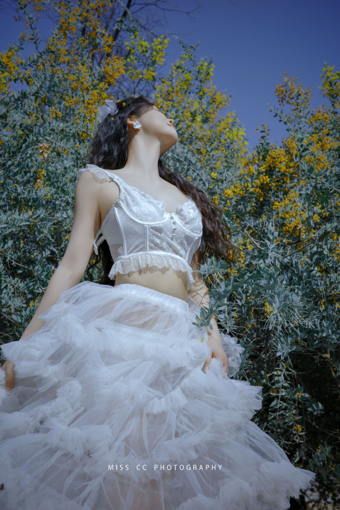 蜘蛛池在营销型网站SEO中的适配场景