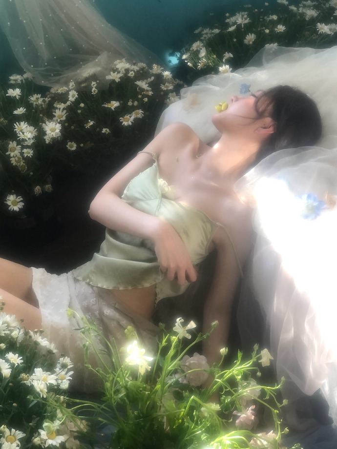 蜘蛛池在小程序内容优化中的使用方式