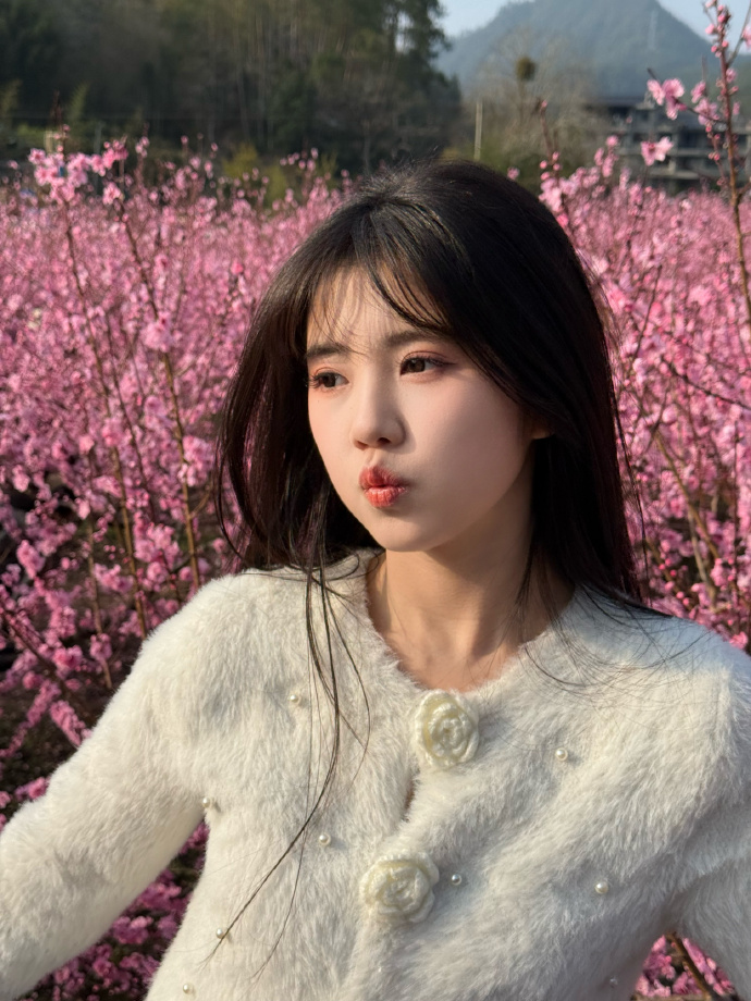 蜘蛛池能否提升长尾词页面的抓取频率