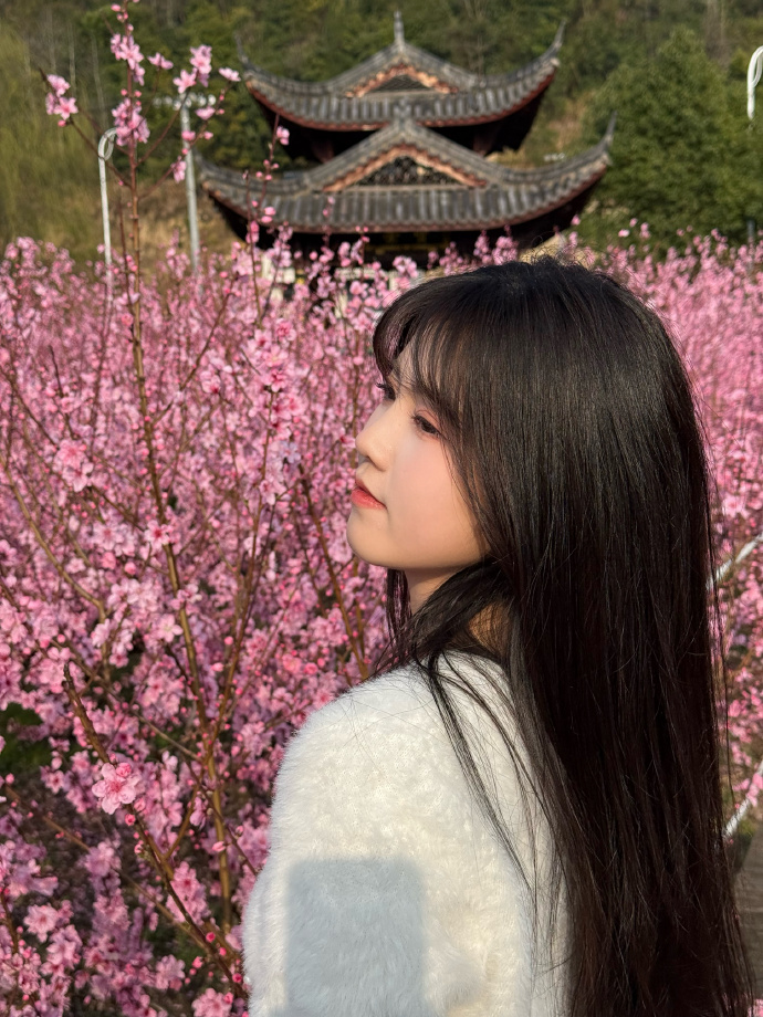 蜘蛛池和Schema结构化数据的配合