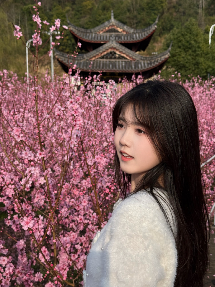 如何用蜘蛛池推送页面结构变更？