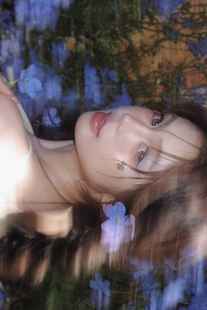 蜘蛛池对SEO黑帽技术的风险分析