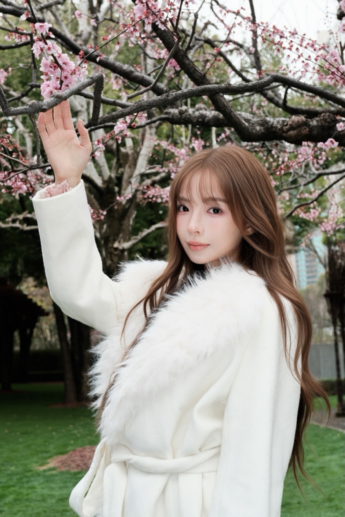 蜘蛛池对SEO黑帽技术的风险分析