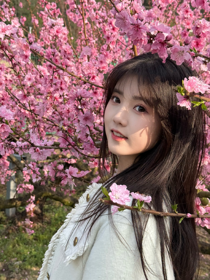 蜘蛛池能否提升长尾词页面的抓取频率