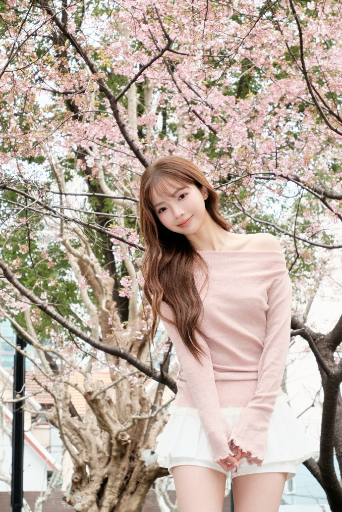 蜘蛛池在小程序内容优化中的使用方式