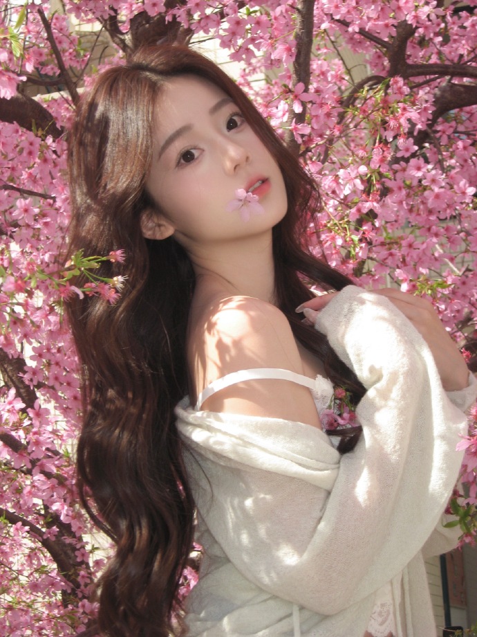 网站降权后，蜘蛛池还能用吗？