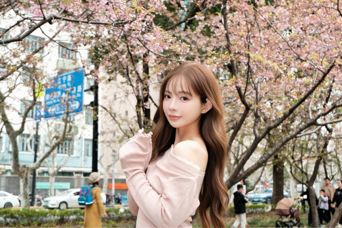 蜘蛛池的分布式架构实现方案